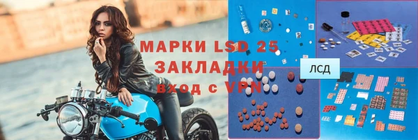 прущие грибы Заволжье