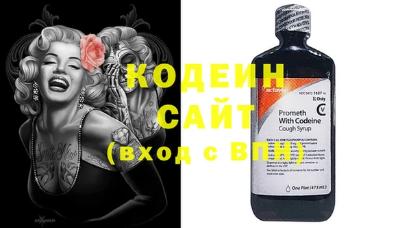 дурь Заводоуковск