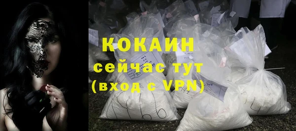 прущие грибы Заволжье