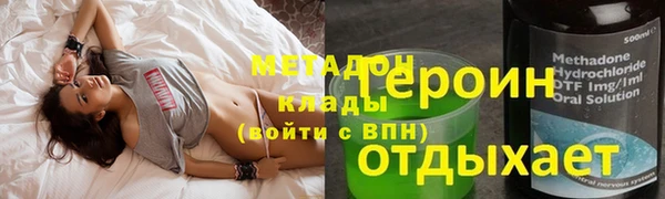 прущие грибы Заволжье