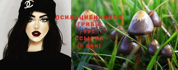 прущие грибы Заволжье