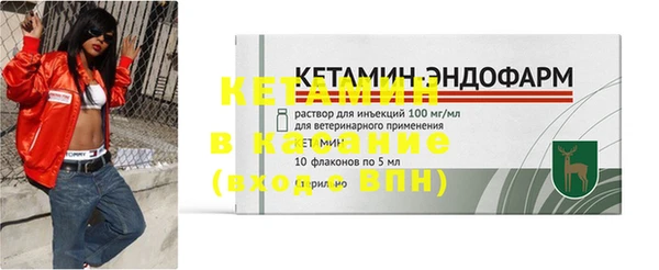 прущие грибы Заволжье
