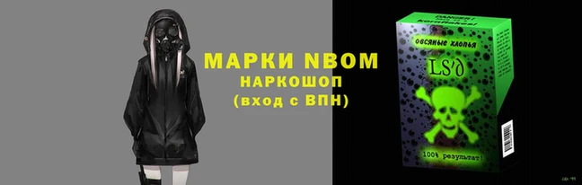 прущие грибы Заволжье