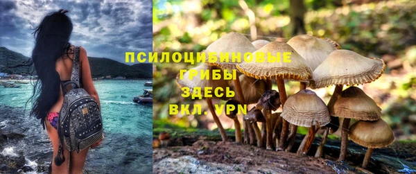 дурь Заводоуковск