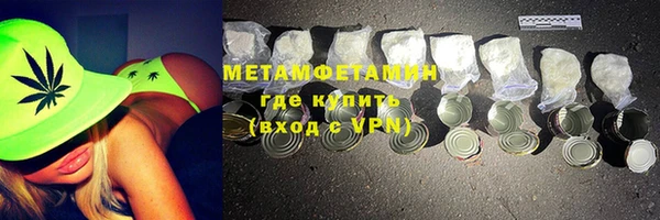 прущие грибы Заволжье
