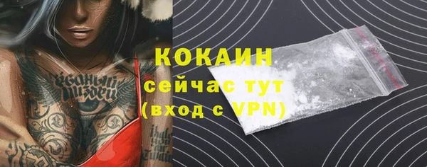 дурь Заводоуковск