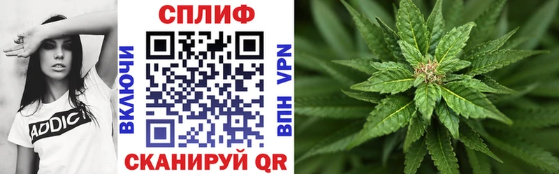 Каннабис SATIVA & INDICA  shop какой сайт  Иннополис 